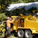 San Antonio Tree Surgeons - Tree Service