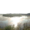 Cape May Bird Observatory gallery