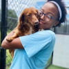 Pet Paradise gallery