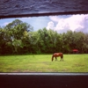 Premier's Riding School gallery