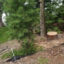 TLC Tree Service - Tree Service