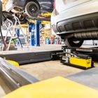 Buck & Doe Auto