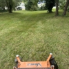 Tne Lawn & Trimming gallery