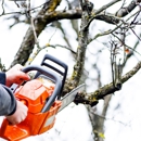 Gomez Tree Service - Arborists