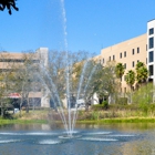 HCA Florida Brandon Surgical Specialists