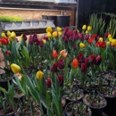 Golden Meadows Landscaping - Landscape Designers & Consultants