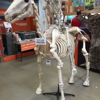 The Home Depot gallery