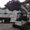 Georgetown Tree Services llc gallery