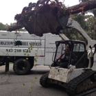 Georgetown Tree Services llc