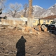 FILI Tree Expert & Landscaping