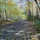 Manasquan Reservoir Environmental Center