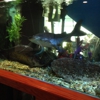 Btown Reefs and Aquatics LLC gallery