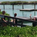Dolphin Connection - Colleges & Universities