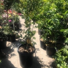 Nueva Esperanza Nursery