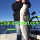 Bailey's Beaver Lake Striper Guide Service - Fishing Guides