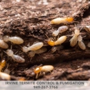 Irvine Termite Control & Fumigation - Pest Control Services