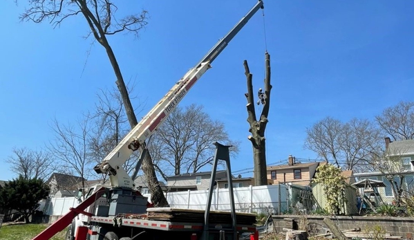 SUPREME TREE SOLUTIONS LLC - Elizabeth, NJ