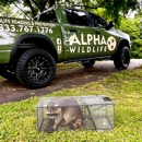 Alpha Wildlife Memphis - Animal Removal Services