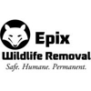 Apex Wildlife Removal gallery