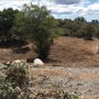 AZ Land Restoration