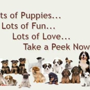 Petland of Davie - Pet Stores