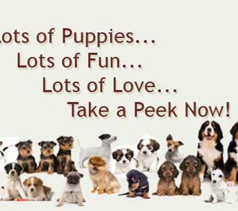 Petland of Davie - Davie, FL