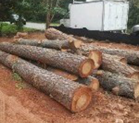 Atlanta Tree Professionals, LLC - Alpharetta, GA