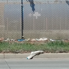 Republic Services Southeast Landfill