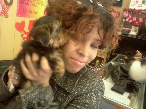 Puppy Boutique - Brooklyn, NY