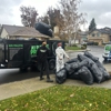 A1 Rodent Proofing and Pest Control gallery