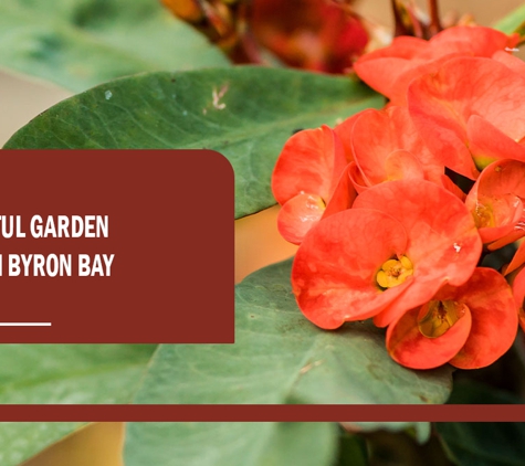 Eden at Byron - Byron Bay, NSW. A beautiful Garden Centre in Byron Bay.