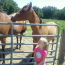 Mesa Vista Farm - Stables