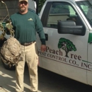 Peachtree Pest Control - Termite Control