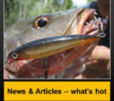 Fish N Bits Bait & Tackle - Kearneys Spring, QLD