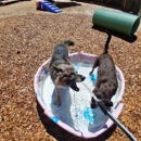 Reynolds Pet Resort - Tualatin - Hostels