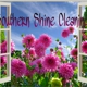 Southern Shine Cleaning LLC