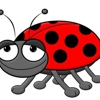 Cuttle Bug Taxi & Car Service Inc. gallery