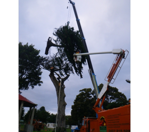 Forest & Garden Tree Services - Grassmere, VIC. Hazard tree Removal Using 50 Ton Crane