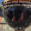 Twisted Spike Brewing Co gallery