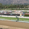 La Turf Club gallery