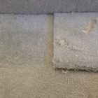 SteamLine carpet cleaning restoration