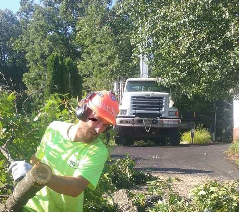 Budget Tree & Landscape - Fenton, MI. Oak removal by crane. Job well done.