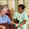 Certified Home Nursing Solutions gallery