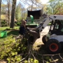 Arbor Care Tree Service