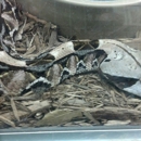 ANIMAL WORLD AND SNAKE FARM - Zoos