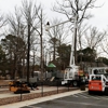 Jedidiah Sawyer Tree Service gallery
