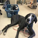 Avalon Family Vet - Veterinarians
