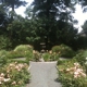 Van Vleck House & Gardens