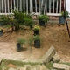 Garden of Eden Landscaping & Maintenance