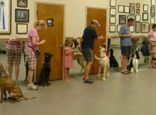 Town & Country Animal Care Center - Apex, NC 27523